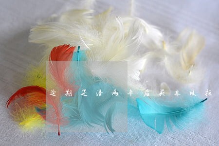 逾期还清两年后买车被拒