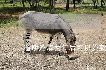 逾期还清两年后可以贷款吗 逾期还清两年后可以贷款吗
