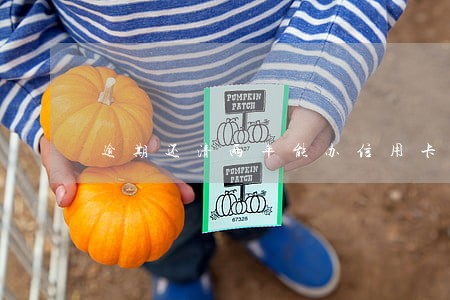 逾期还清两年能办信用卡 逾期还清两年能办信用卡