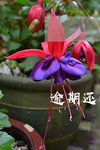 逾期还清个人征信多久恢复 逾期还清个人征信多久恢复