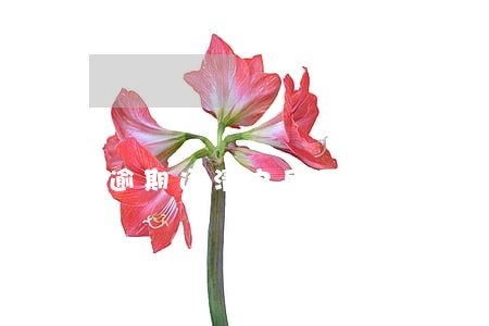 逾期还清之后不良记录会消除吗 逾期还清之后不良记录会消除吗