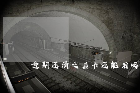 逾期还清之后卡还能用吗 逾期还清之后卡还能用吗