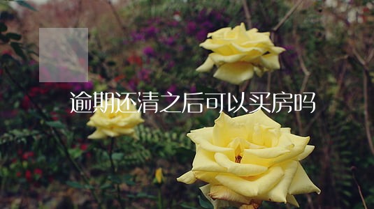 逾期还清之后可以买房吗