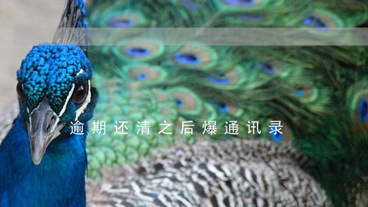 逾期还清之后爆通讯录