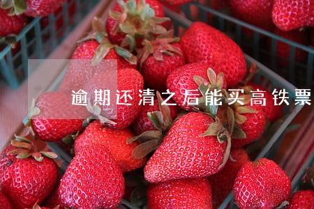 逾期还清之后能买高铁票吗 逾期还清之后能买高铁票吗