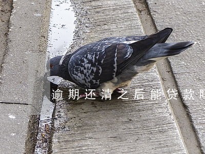 逾期还清之后能贷款吗 逾期还清之后能贷款吗