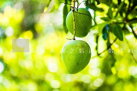 逾期还清之后还能借钱吗 逾期还清之后还能借钱吗