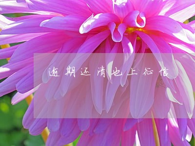 逾期还清也上征信 逾期还清也上征信