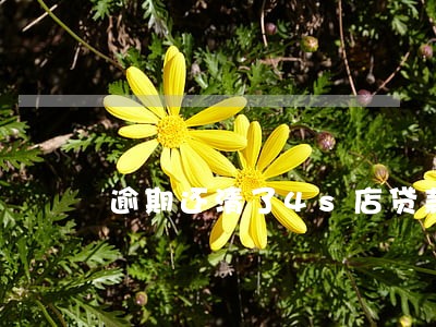 逾期还清了4s店贷款买车吗 逾期还清了4s店贷款买车吗