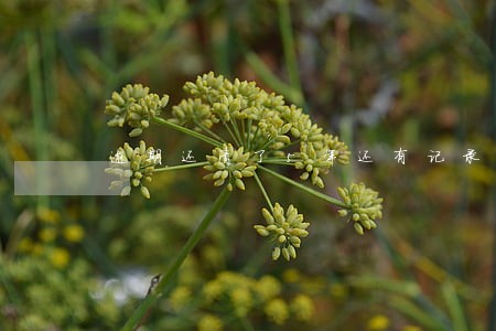 逾期还清了5年还有记录 逾期还清了5年还有记录