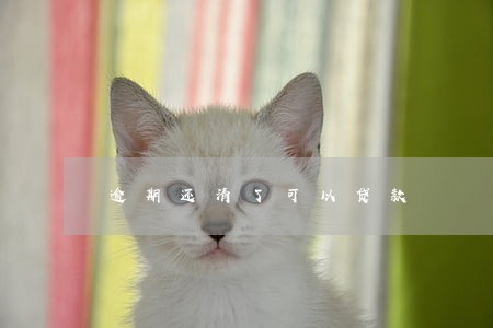 逾期还清了可以贷款 逾期还清了可以贷款