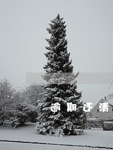逾期还清了多久会消除 逾期还清了多久会消除