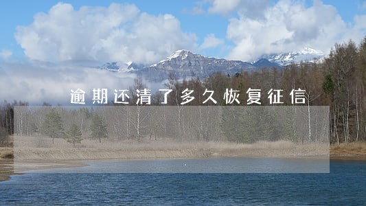 逾期还清了多久恢复征信 逾期还清了多久恢复征信