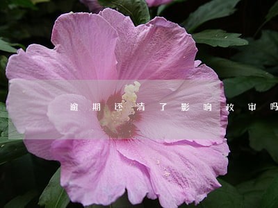 逾期还清了影响政审吗