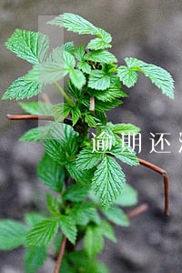 逾期还清了影响车贷吗 逾期还清了影响车贷吗