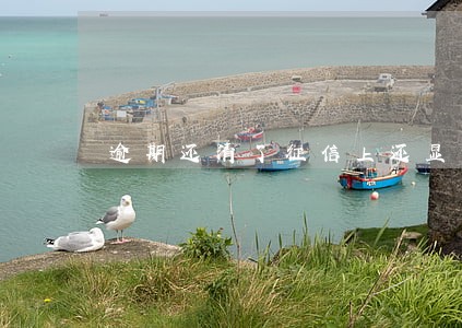 逾期还清了征信上还显示么 逾期还清了征信上还显示么