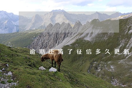 逾期还清了征信多久更新