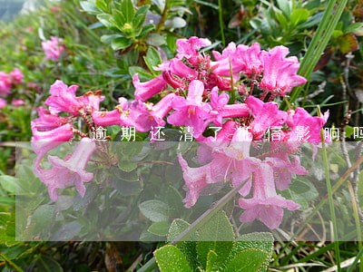 逾期还清了征信影响吗 逾期还清了征信影响吗