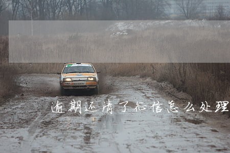 逾期还清了征信怎么处理 逾期还清了征信怎么处理