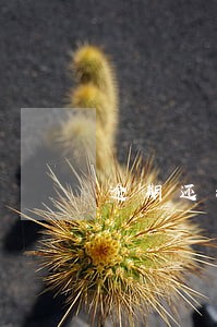逾期还清了征信还有 逾期还清了征信还有