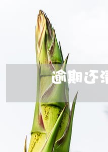 逾期还清了怎么办 逾期还清了怎么办