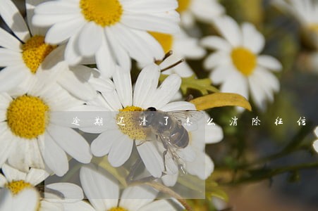 逾期还清了怎么消除征信