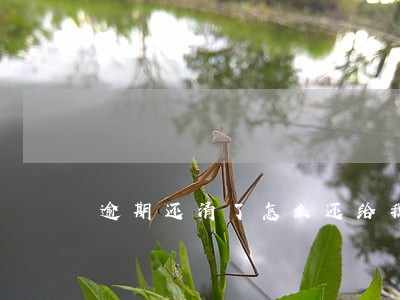 逾期还清了怎么还给我打电话 逾期还清了怎么还给我打电话