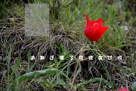 逾期还清了系统会过吗 逾期还清了系统会过吗