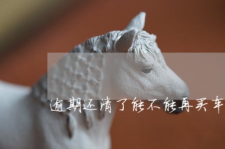 逾期还清了能不能再买车 逾期还清了能不能再买车