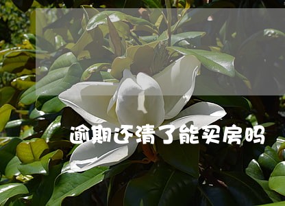 逾期还清了能买房吗 逾期还清了能买房吗