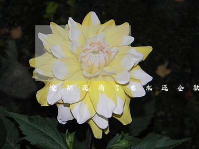 逾期还清了要求还全款 逾期还清了要求还全款