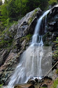 逾期还清了贷款能下吗 逾期还清了贷款能下吗