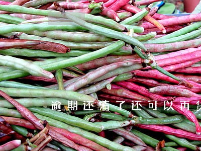 逾期还清了还可以再贷吗 逾期还清了还可以再贷吗