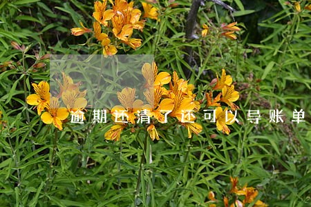 逾期还清了还可以导账单吗 逾期还清了还可以导账单吗
