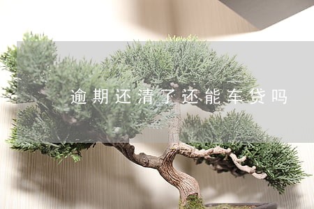 逾期还清了还能车贷吗
