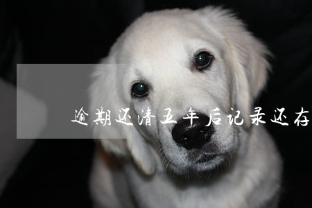 逾期还清五年后记录还存在 逾期还清五年后记录还存在