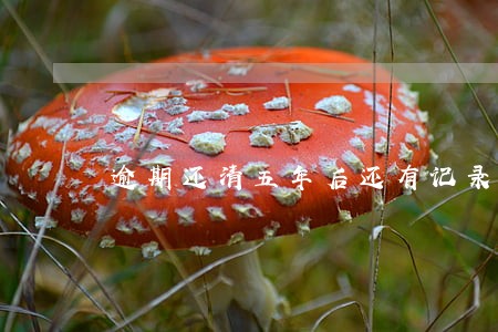 逾期还清五年后还有记录 逾期还清五年后还有记录