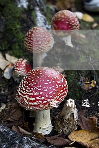 逾期还清什么平台可以借款 逾期还清什么平台可以借款