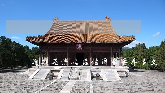 逾期还清以后信用需要养多久 逾期还清以后信用需要养多久
