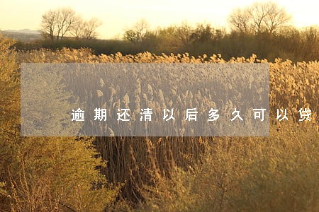 逾期还清以后多久可以贷款 逾期还清以后多久可以贷款