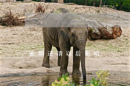 逾期还清以后影响 逾期还清以后影响