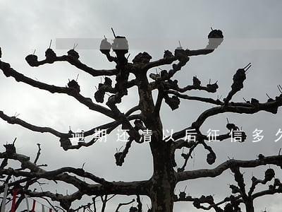 逾期还清以后征信多久刷新 逾期还清以后征信多久刷新