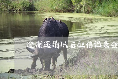 逾期还清以后征信记录会消除吗 逾期还清以后征信记录会消除吗