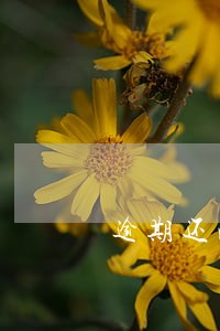 逾期还清会影响什么影响 逾期还清会影响什么影响