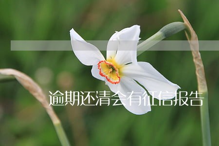 逾期还清会有征信报告 逾期还清会有征信报告