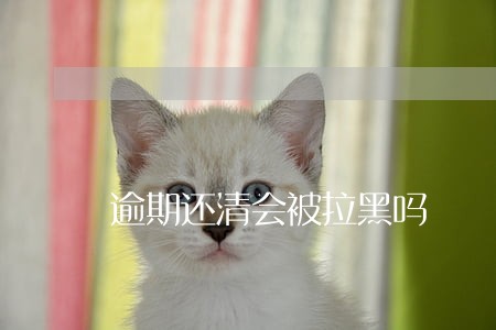 逾期还清会被拉黑吗 逾期还清会被拉黑吗