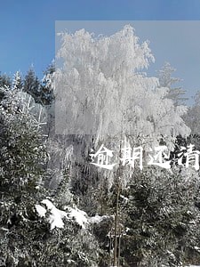 逾期还清借呗还会有额度吗 逾期还清借呗还会有额度吗