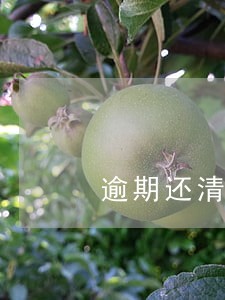 逾期还清借款后还能再借吗 逾期还清借款后还能再借吗