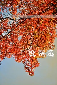逾期还清利息会上浮吗 逾期还清利息会上浮吗
