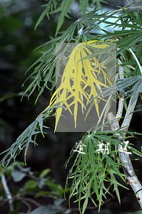 逾期还清利息是怎么算的 逾期还清利息是怎么算的